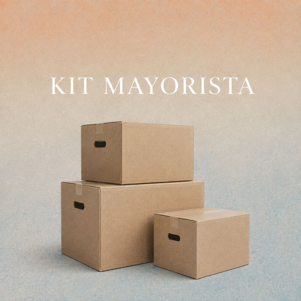 Kit Mayorista